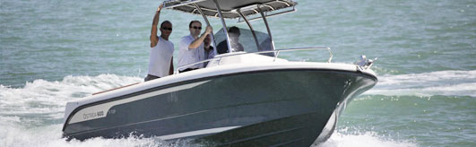 bateau back marlin