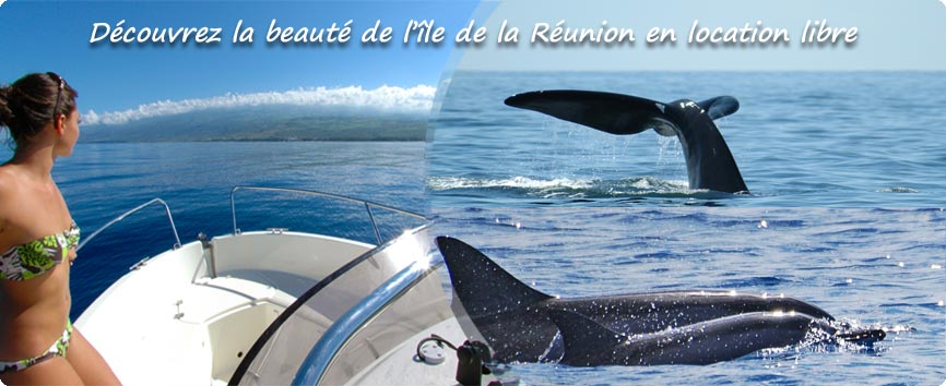 flyer location anoky Réunion